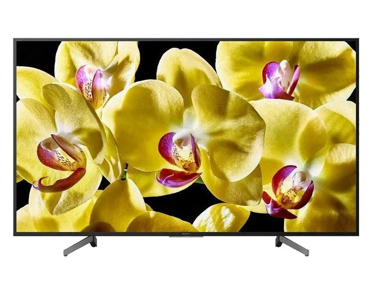 Sony KD-49XG8096BR
