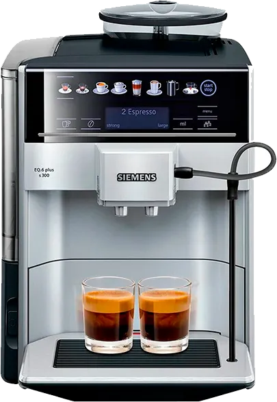 Siemens 6 Plus s300